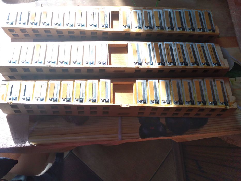 Glosnice Victoria 80b akordeon