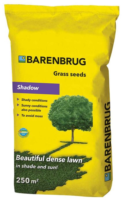 Trawa Barenbrug Shadow 5kg - nasiona trawy