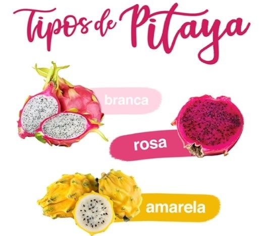 Promoção, Pitayas enraizadas disponíveis