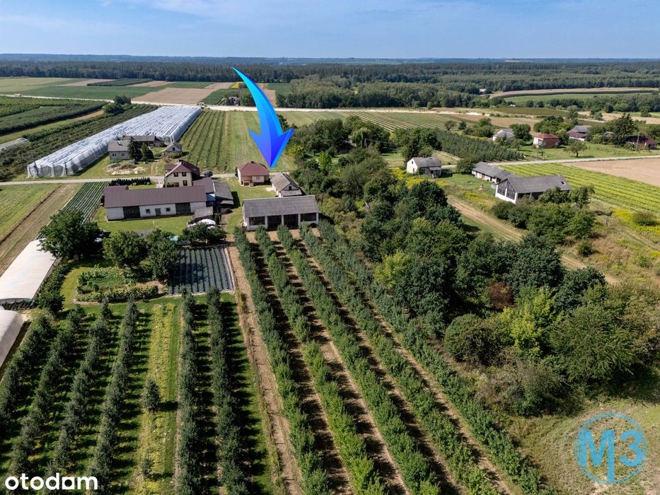 Dom – Linów - Widok 2