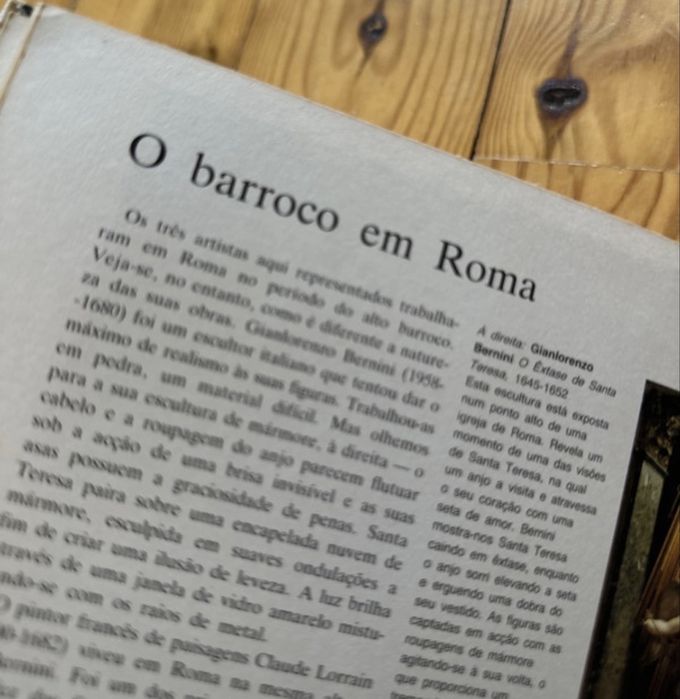 Livro a arte VERBO e como só a verbo sabia fazer livros assim