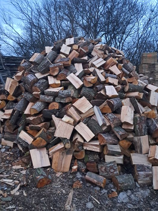 Drewno opałowe/kominkowe z transportem