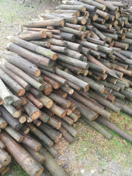 Paus usados para venda