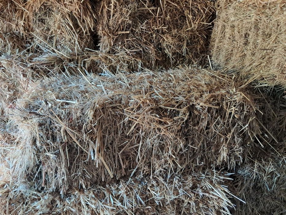Para venda vários fardos de Palha