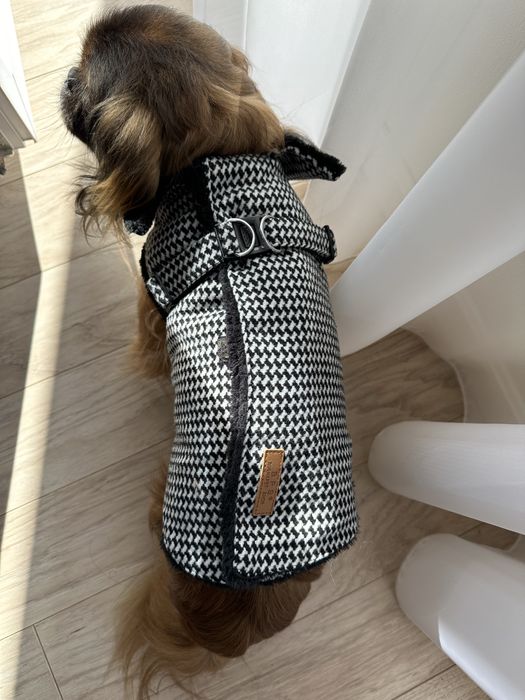 Одяг для собаки