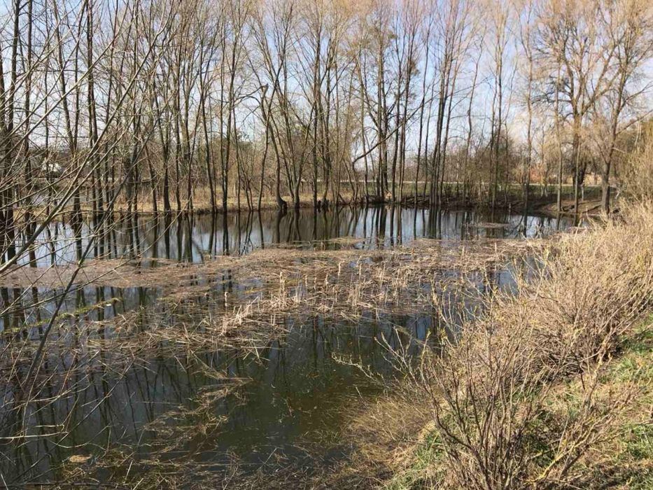 Продам великий будинок у затишному селі