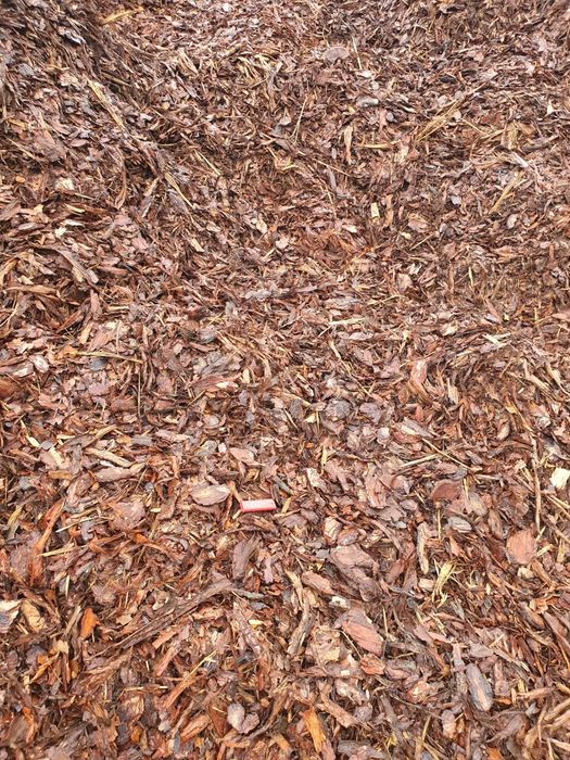 Kora sosnowa dekoracyjna ozdobna