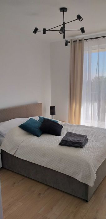 Apartament noclegi