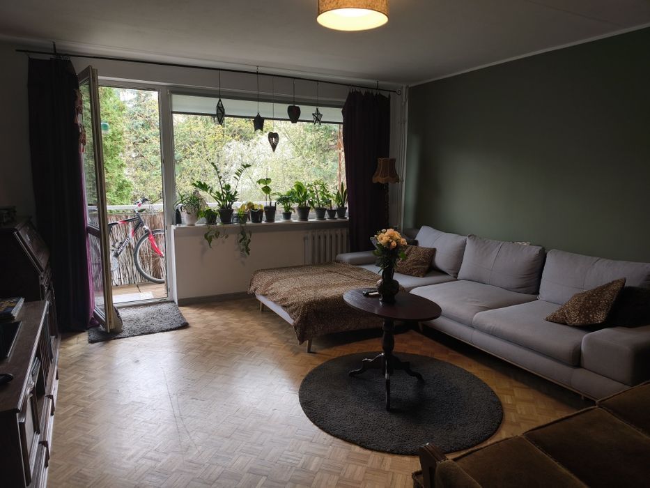 pokój / mieszkanie na wynajem - bielany - 75 m2, zwierzęta akceptowane