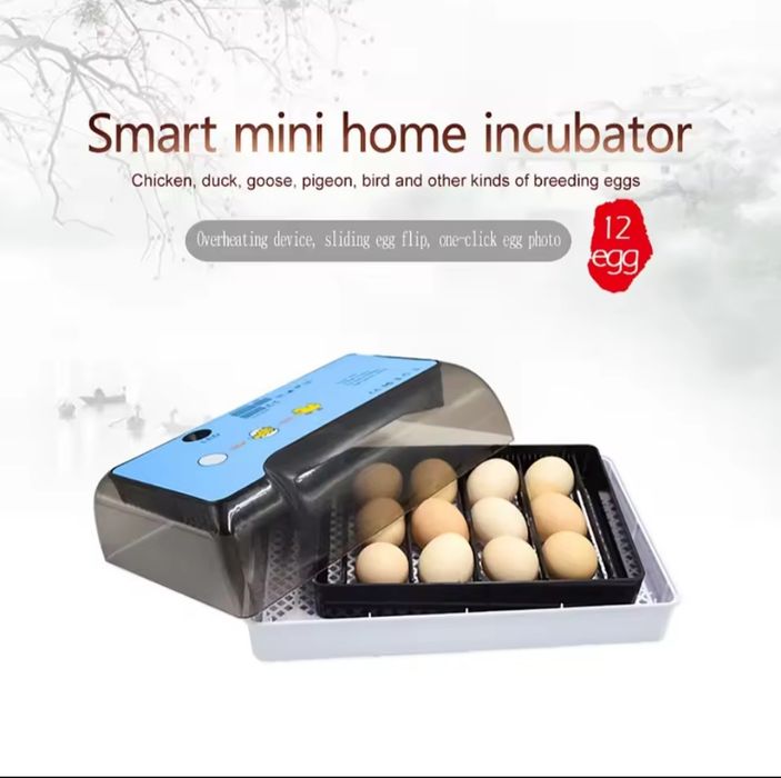 Chocadeiras automáticas - 12 ovos