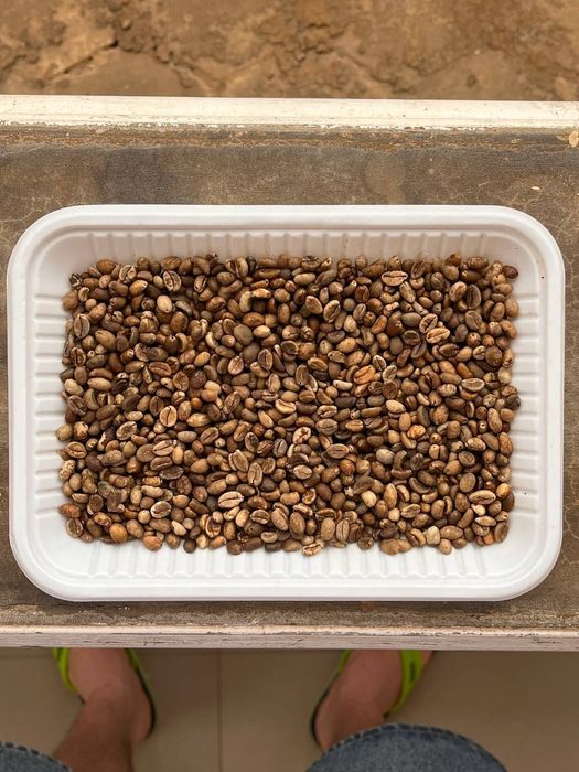 Кава ЗЕЛЕНА гурт (опт)