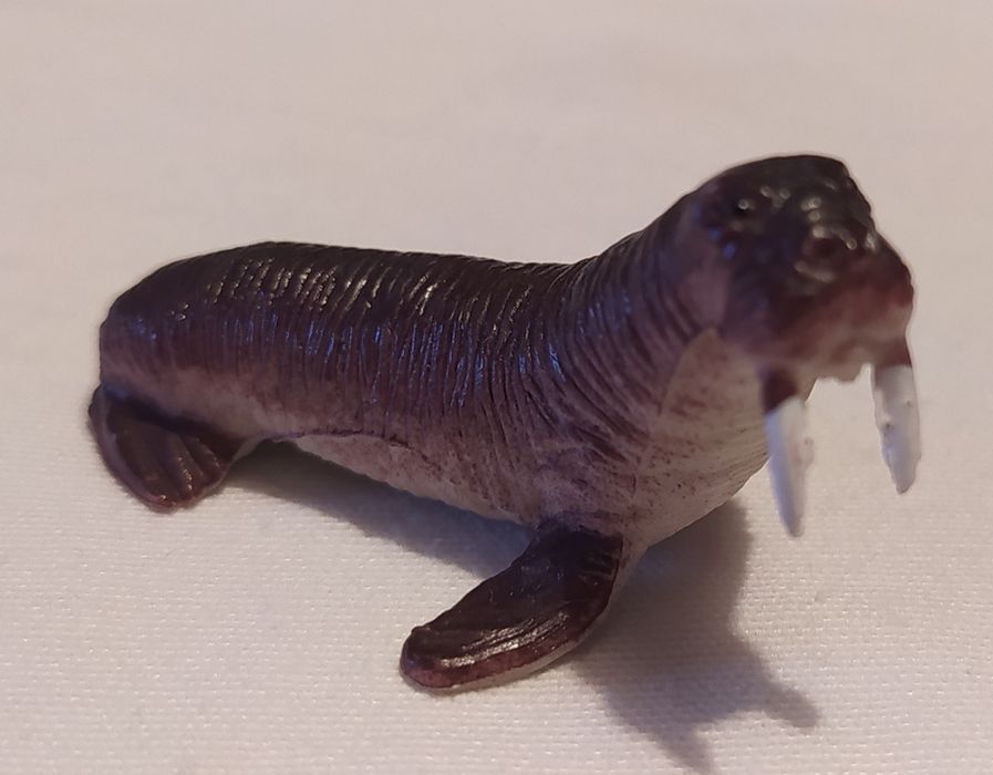 Animais Variados. Girafa, pinguim, bufalo, foca