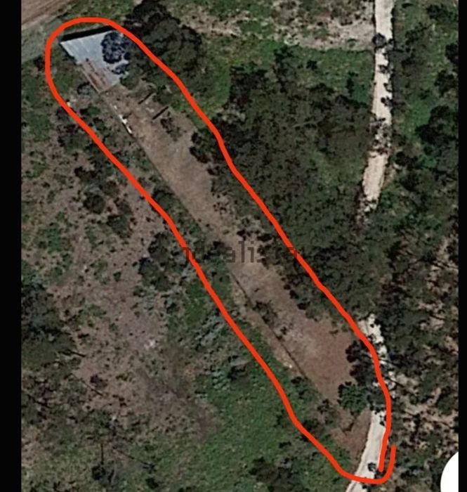 Terreno rústico 1000 mt2