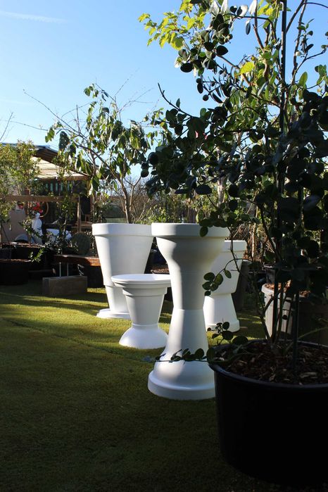 Plant pots / Vaso