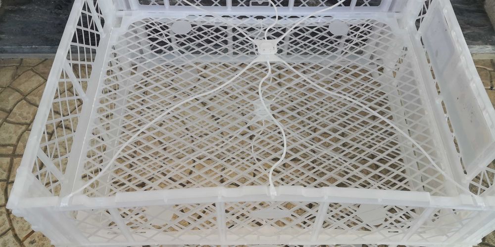 2 caixotes 50 cm X 39,5 cm X 12 cm