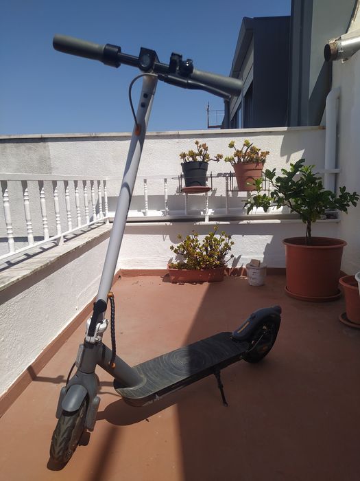 Trotinete Olsson Fresh Advanced