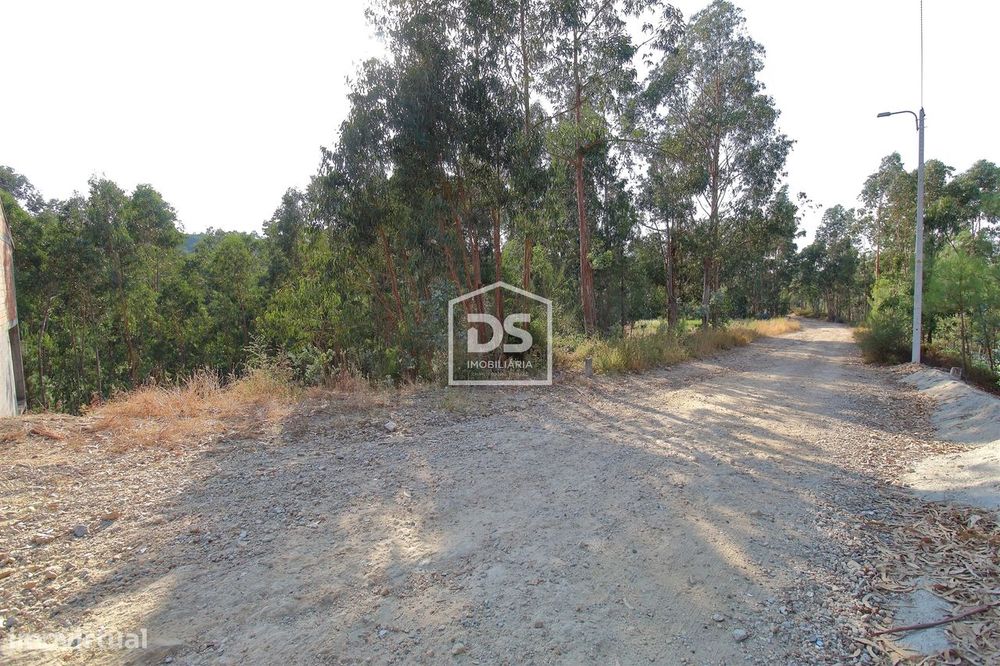 Terreno  Venda em Lagares e Figueira,Penafiel