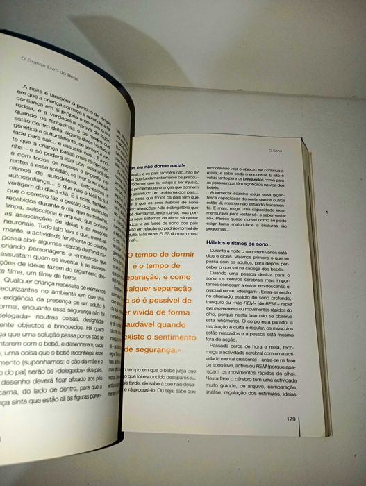 O grande livro do Bebé  - o primeiro ano de vida (Mário Cordeiro)