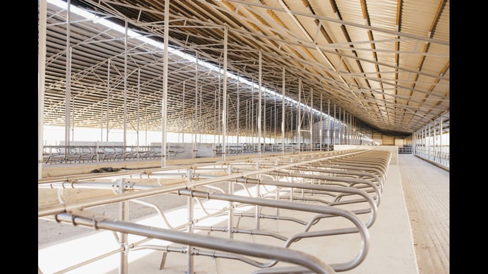 Ангар, склад, ферма, колони. Корівник 60*182*4,5*14(коровник).