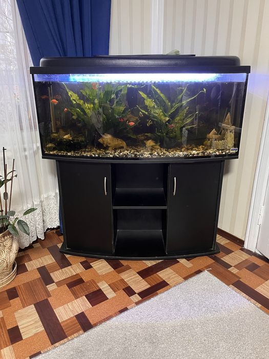 Акваріум великий півкруглий з тумбою