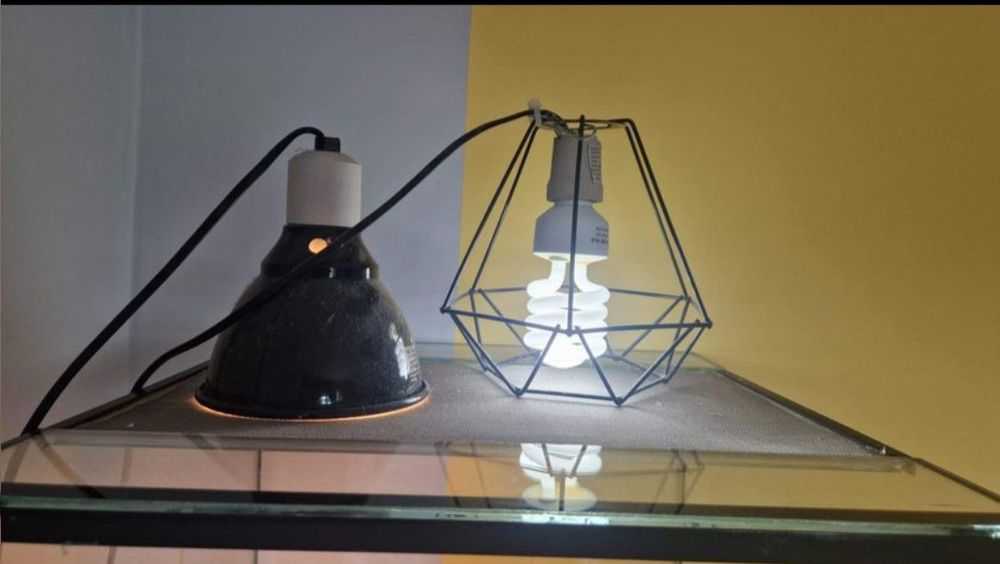 Terarium dla kameleona