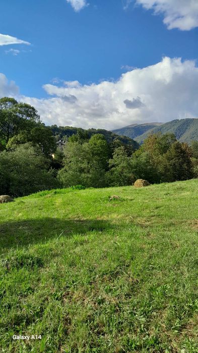 Терміново! Продаж ділянки 25 соток в Карпатах