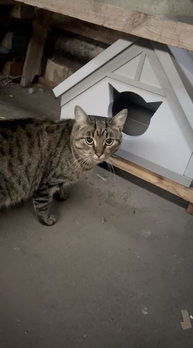 Будиночки для котів та невеликих собак