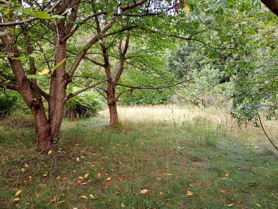 Piękna działka budowlana z planem miejscowym.
