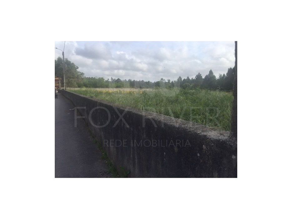 Lote de Terreno em Vila de Punhe