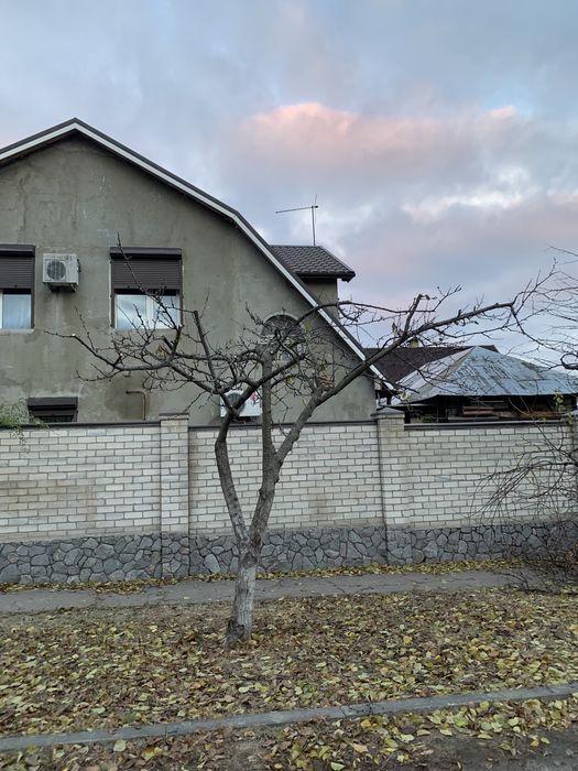 Обрезка плодовых деревьев