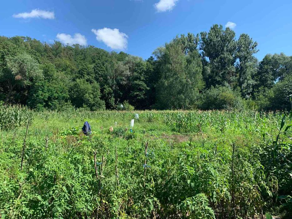 Пропонуємо до продажу будинок в селі Деменці