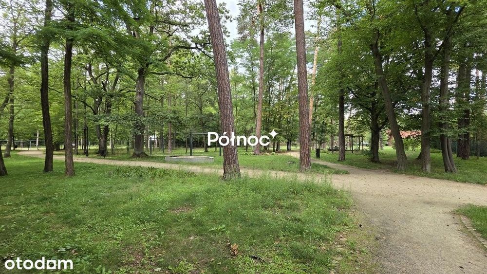 Kawalerka w sercu Spały