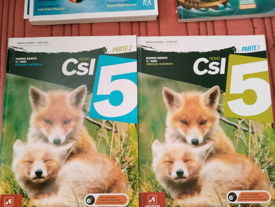 Manuais 5º ano (Matemática, Ciências Naturais, Novo HGP, Português)