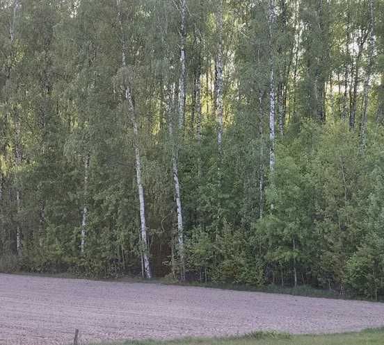 Dzialka Rolno-Lesna-Woda  9,5 ha