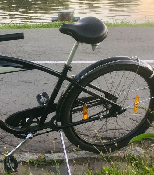 Felt Electra vince 3i cruiser rower