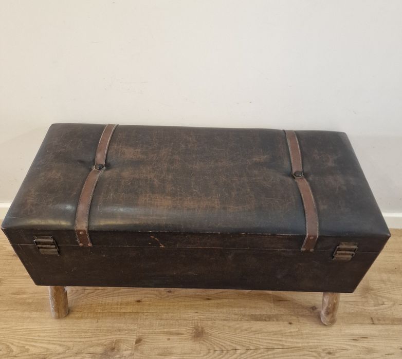 Arca antiga castanha