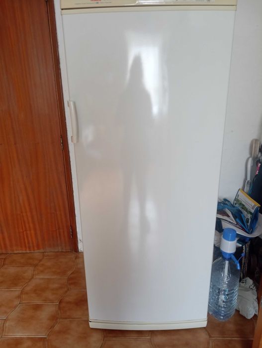 Arca vertical congeladora
