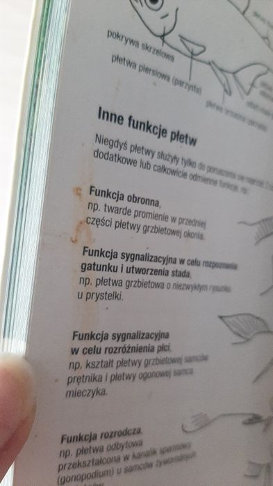 Ryby akwariowe przewodnik kieszonkowy Thomas Romig
