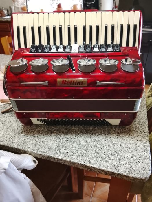 Vendo acordeão marca Belini