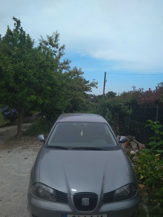 SEAT Ibiza 2005 , gasolina