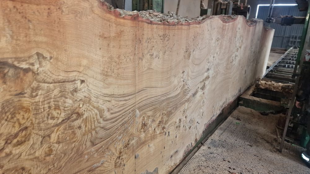 Tabuas tampos para mesas rusticas carvalho frances