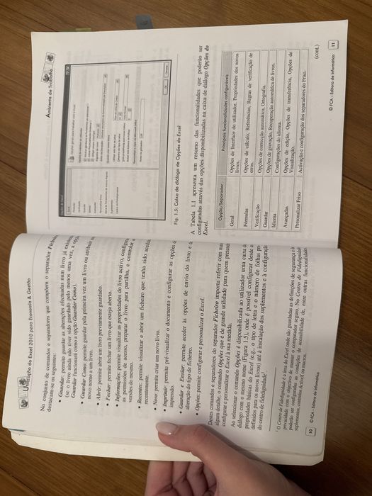 Livro manual utilização do excel - economia e gestão