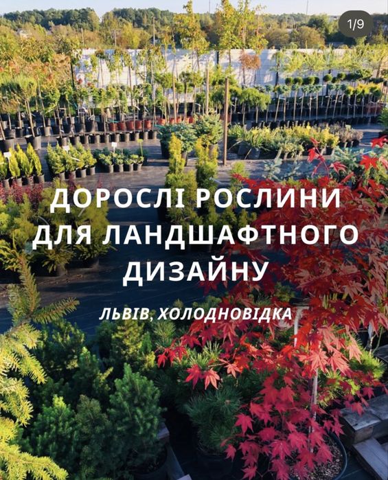 Діючий бізнес Садовий центр