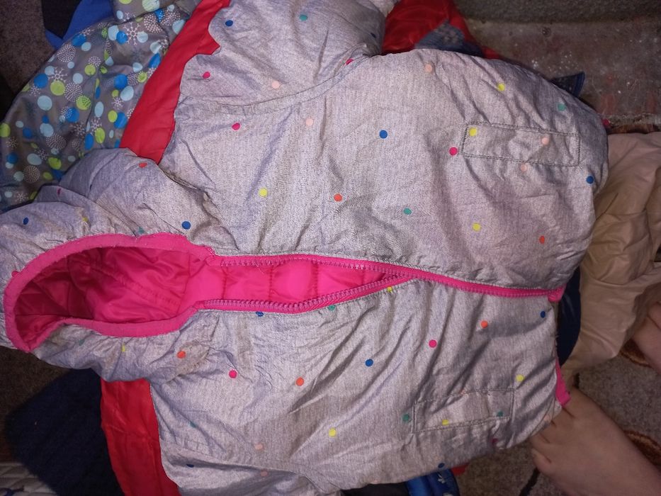 Бесплатно отдам Бесплатно