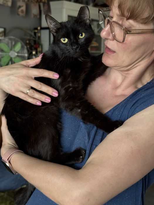 Piekna czarna kotka do adopcji