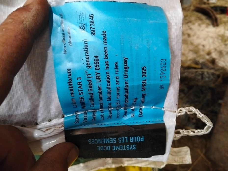 Sacas de azevem 25 kg
