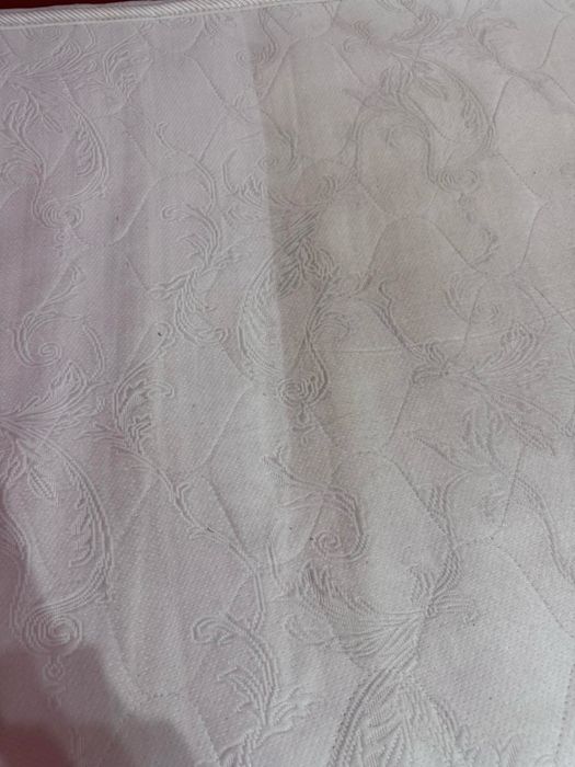 Оренда професійного миючого пилососа Karcher керхер прокат чистка дива