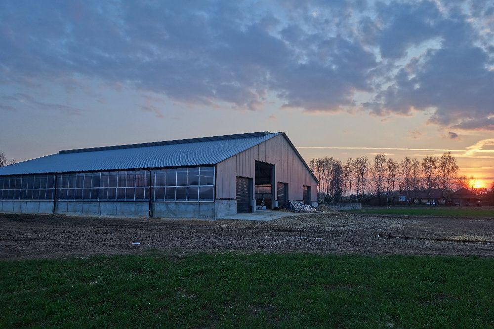 Budowa budynków inwentarskich , obór dla krów, silosów MLEKO-SYSTEM
