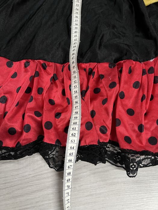 Biedronka ,cyganeczka stroj