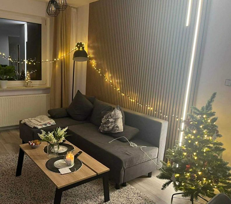 Sprzedam kanapę IKEA ANGSTA